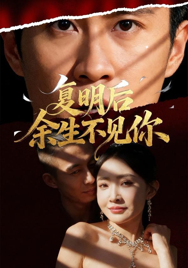 复明后余生不见你封面图