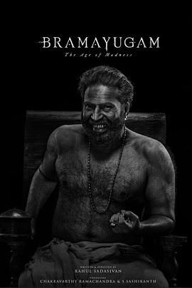 轮回：疯狂时代封面图