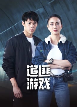 追匪游戏封面图