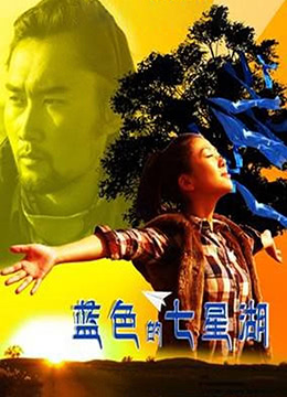 蓝色的七星湖封面图