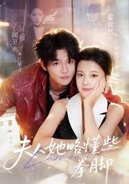 夫人她略懂些拳脚封面图