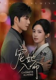 宠她入命封面图