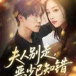 夫人别走恶少已知错封面图