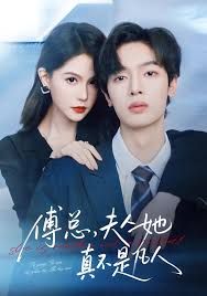 傅总，夫人她真不是凡人封面图