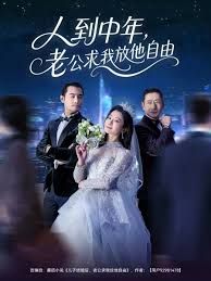 人到中年，老公求我放他自由封面图