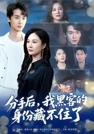 分手后，我黑客的身份藏不住了封面图