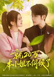 就20万！本小姐不伺候了封面图