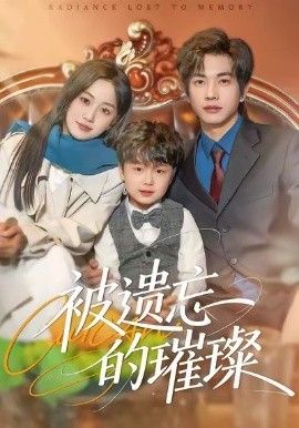 被遗忘的璀璨封面图